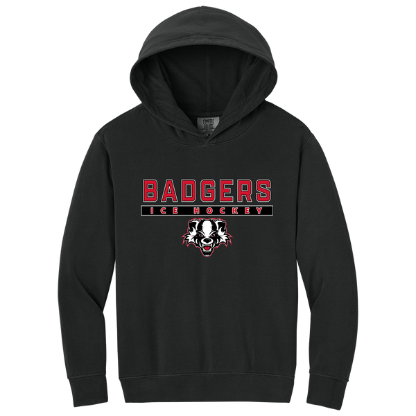 Scary Badgers Youth Lightweight Hooded Sweatshirt